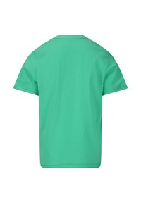 ZIGZAG T-shirts print - groen mint