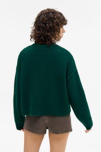 Suéter verde, felpudo, de malha, com um decote redondo e mangas longas e largas; usado com calções castanhos.