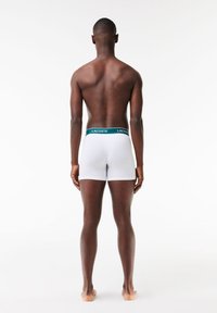 White boxer briefs with a teal and white Lacoste branded waistband. The fabric is smooth and fitted, shown from the back with no additional patterns.