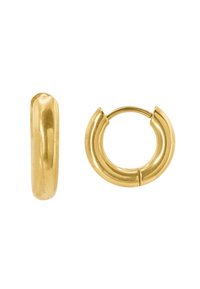 NORBAN - Orecchini - goldfarbend