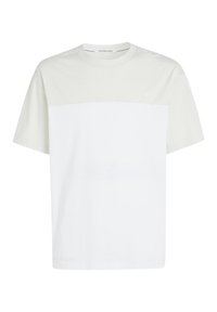 Calvin Klein Jeans COLORBLOCK - Camiseta estampada - bright white icicle