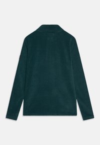 Brunotti TENNY BOYS - Flísová bunda - fuel green