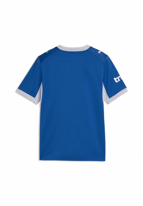 PUMA AL HILAL SFC 26/27 HEIMTRIKOT UNISEX - Equipación de clubes - blue intense-vibrant silver — foto 6