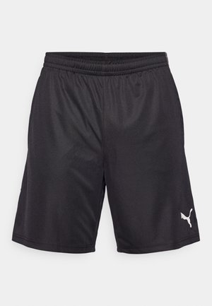 Puma INDIVIDUALLIGA TRAINING SHORTS  - Sports shorts - black/white/shadow gray