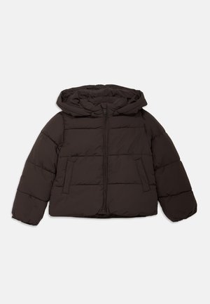 KOGJUTA LIFE SHORT PUFFER - Casaco de inverno - chocolate torte