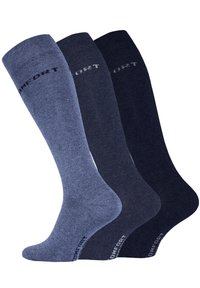Cotton Prime 3 PAAR - Knee high socks - blautöne