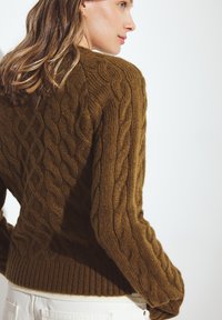 Brūns adīts džemperis ar kabeli rakstu, ribotu apakšmalu un garām piedurknēm, demonstrējot teksturētu, siltu dizainu.