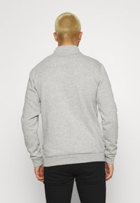 Only & Sons ONSCERES LIFE HALF ZIP - Camisola - light grey melange