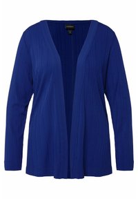 Blauwe geribde langemouwen cardigan met een V-hals. Open voorkantontwerp, gestructureerde stof en een relaxte pasvorm. Zacht materiaal zonder sluitingen.