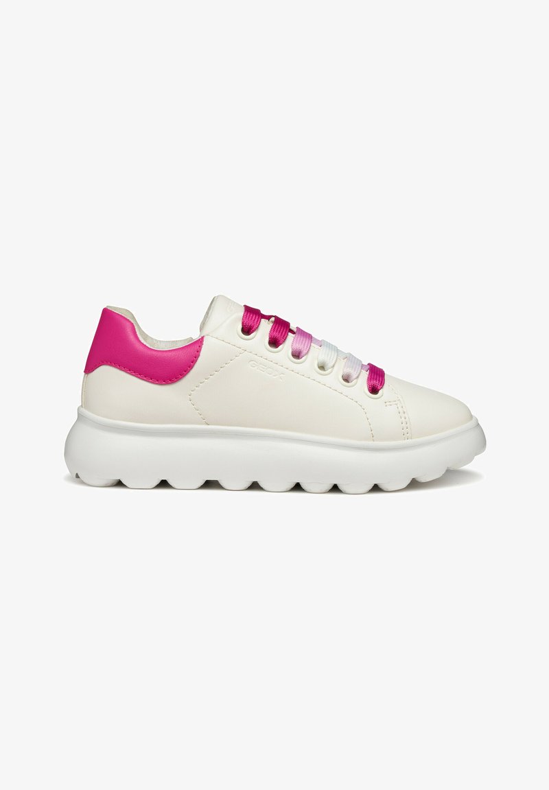 Sneaker bianca con tomaia in pelle liscia e tallone di un vivace rosa. Presenta lacci multicolori e una suola in gomma bianca spessa.