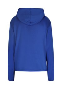 Blauer Kapuzenpullover mit langen Ärmeln, aus glattem Stoff gefertigt. Hat ein schlichtes Design und eine lockere Passform. Rückansicht, keine Muster oder Akzente.