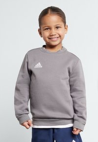 Grå genser med lange ermer, rund halslinning og ribbede mansjetter. Har et hvitt Adidas-logo på brystet.