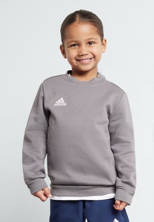 adidas Performance ENTRADA  - Sweatshirt - grey