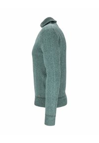 Strickpullover in gedämpftem Grün mit gerippter Textur, ausgestattet mit einem umgeschlagenen Kragen und eng anliegenden Bündchen. Die Seitenansicht betont das figurbetonte Design.