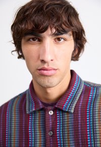 Button-up shirt featuring multicolored stripes in varying widths, primarily plum, with contrasting blue, green, and brown accents.