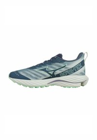 Blauwe en grijze hardloopschoenen met een bovenkant van mesh, een gestructureerde afwerking en GORE-TEX-logo. Voorzien van een gevoerde zool en flexibele grip.