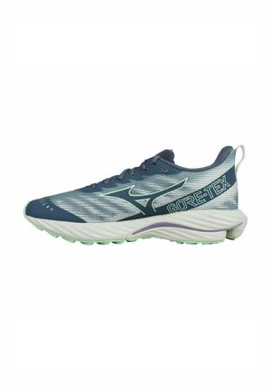 Blauwe en grijze hardloopschoenen met een bovenkant van mesh, een gestructureerde afwerking en GORE-TEX-logo. Voorzien van een gevoerde zool en flexibele grip.