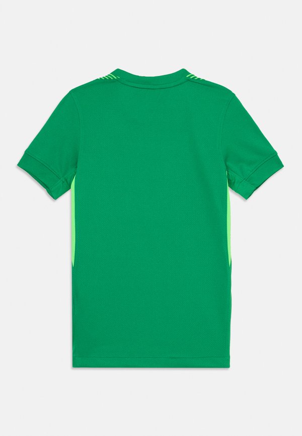 WOMENS EC25 ENGLAND GOALKEEPER JERSEY UNISEX - Football shirt3