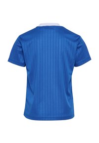 Blå kortärmad skjorta med vit krage. Har vertikala ränder och en slät yta. Bakifrån visar den en enkel, ren design.