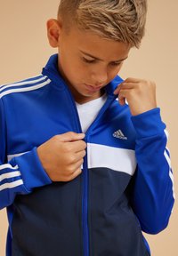 adidas Performance TIBERIO UNISEX niebieski