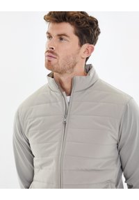 Threadbare LUXE - Veste mi-saison - stone