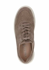 Suede sneaker in light brown with perforated design and metallic accents. Features flat laces and a white rubber sole.