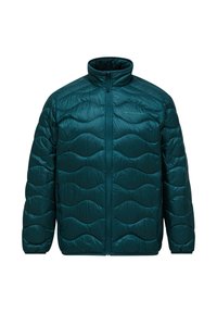 Non selezionato, ponderosa pine