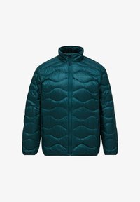 Non selezionato, ponderosa pine