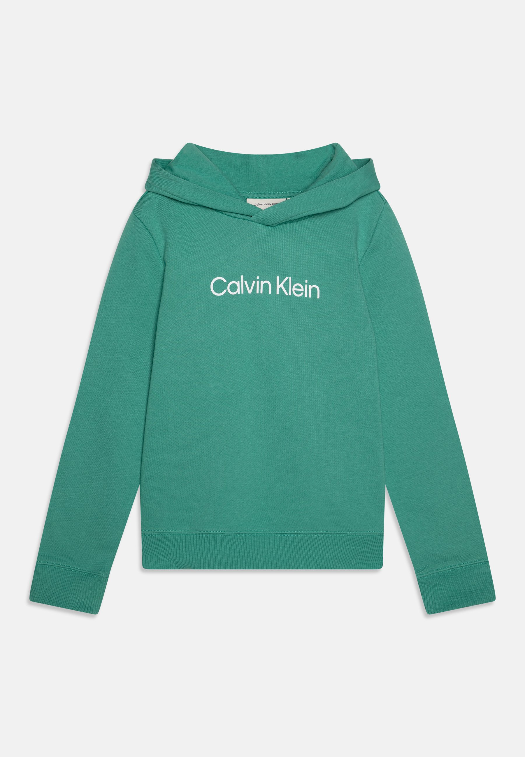 Calvin Klein Jeans LOGO HOODIE UNISEX Sweat à capuche bahama