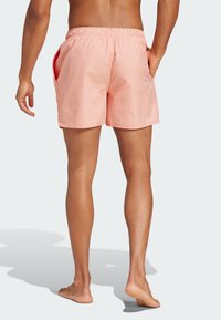 Costumi da bagno a righe rosse e bianche con elastico in vita, tasche laterali e un tessuto testurizzato. Attualmente mostrati da dietro.