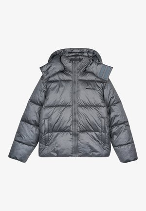 Chaqueta de pluma gris hecha de material brillante. Presenta una capucha, cremallera frontal y bolsillos laterales. Incluye detalle de logo en el pecho y el hombro.