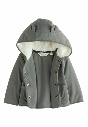 REGULAR FIT - QUILTED - Winterjacke - green