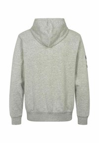 Sweat-shirt à capuche gris clair vu de dos avec manches longues et bords-côtes aux poignets et à l'ourlet.