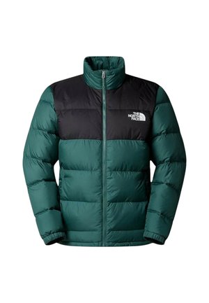 The North Face, EREBUS COL BSP - Piumino - green