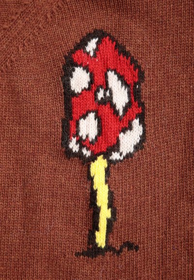 Champignon rouge tricoté avec des taches blanches et un pied jaune sur un fond en tissu marron.