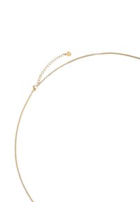 Gouden kettinghalsband met een dun, slank ontwerp, voorzien van een karabijnslot en een verstelbare lengte door middel van een verlengkettinkje. Glad texture.
