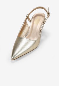 Bosanova CON CIERRE DE HEBILLA - Classic heels - oro