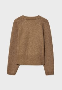 Pull en maille marron avec manches, ourlet et encolure ras du cou côtelés, présenté de dos sur un fond gris clair.