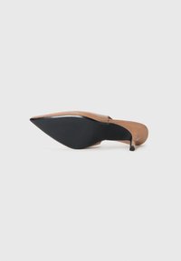 Chaussure à talons hauts marron avec un bout pointu, une partie supérieure transparente et une semelle noire élégante avec une texture nervurée.