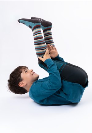 OCCULTO, 2 PACK - Knee high socks - grau
