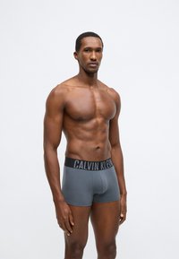 Γκρι βαμβακερά αντρικά μποξεράκια με μαύρη ζώνη μέσης που φέρει το λογότυπο "CALVIN KLEIN", εφαρμοστή σχεδίαση, λεία υφή και μήκος μέχρι το μέσο του μηρού.