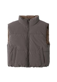 Gilet imbottito grigio con colletto alto, zip frontale e due tasche laterali. Texture liscia con dettagli trapuntati.
