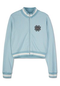 FERRARA - Ζακέτα - washed frost blue