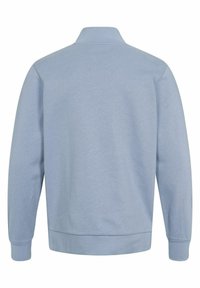 Ljusblå sweatshirt med hög krage, långa ärmar och ribbade muddar, i en mjuk jerseystruktur och en klassisk, minimalistisk design.