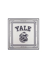 Eșarfă bleumarin și albă cu "YALE" scris cu litere mari și un grafic cu bulldog, având un model cu dungi fine și text pe margini. Material neted.