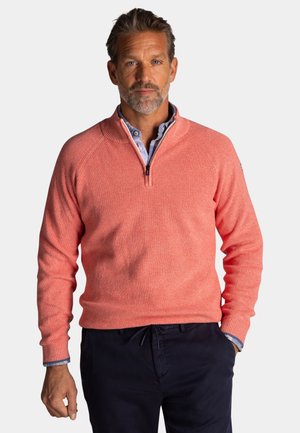 Man met grijze baard die een koraalkleurige trui met ritssluiting over een blauw overhemd en donkere broek draagt, staand met één hand in de zak.