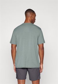 Helly Hansen SKOG GRAPHIC - Triko s potiskem - grey cactus