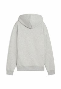 Sudadera con capucha de color gris claro vista desde la parte de atrás, con mangas largas y puños y dobladillo de canalé.
