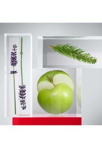 Miniatyrbild 2