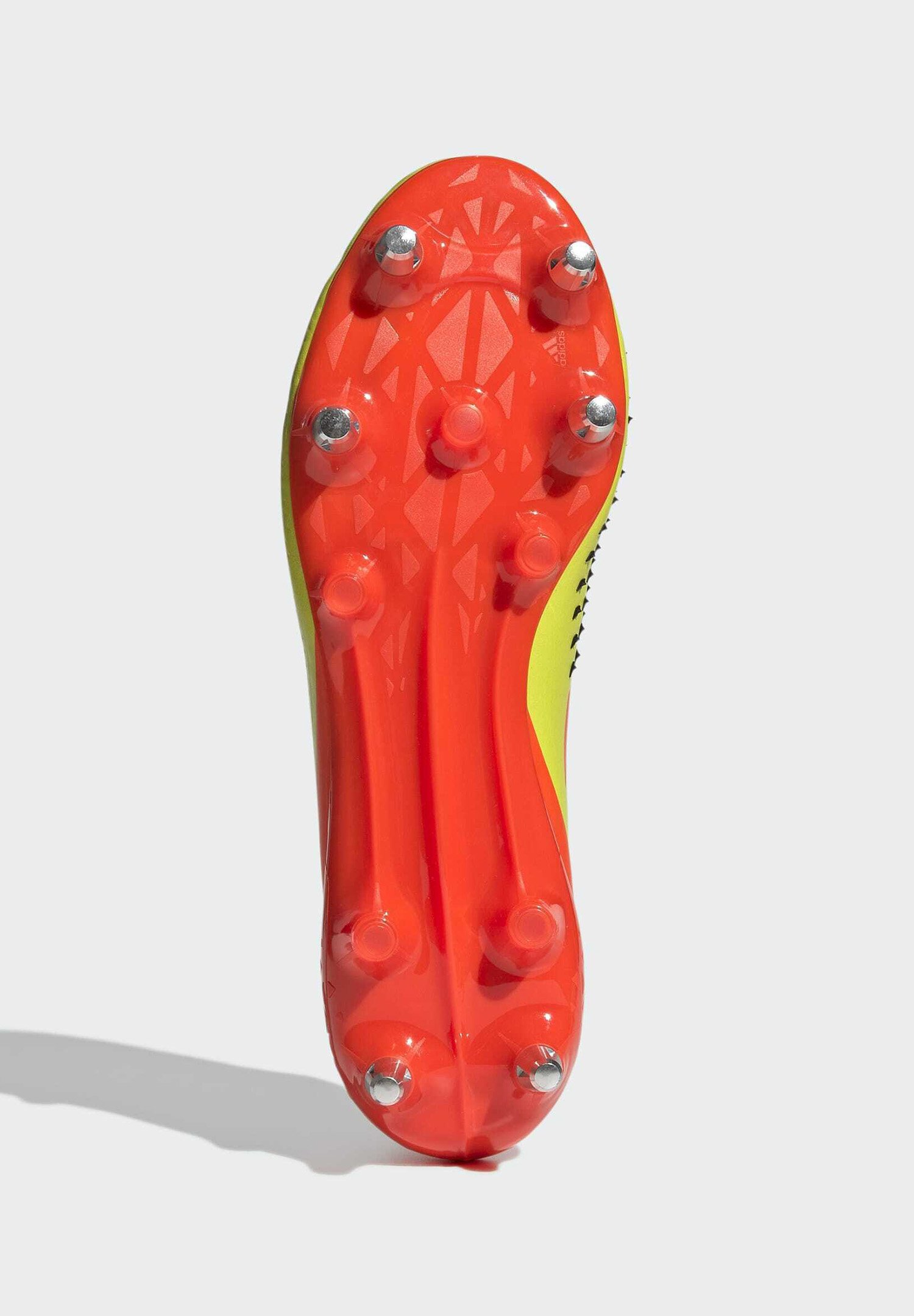 Herren RUGBY PREDATOR MALICE - Trainings-/Fitnessschuh Herren RUGBY PREDATOR MALICE - Trainings-/Fitnessschuh